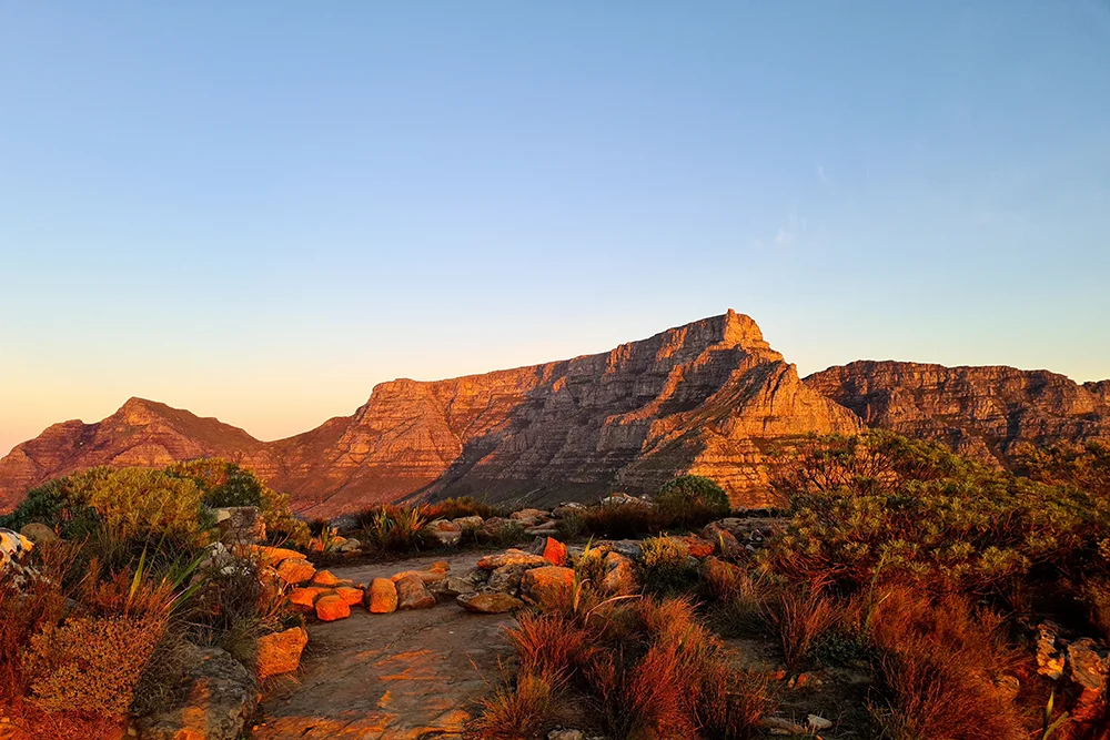 Table Mountain & The Cape Peninsula Tour